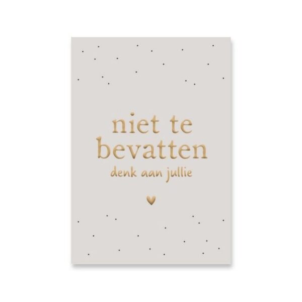 Niet te bevatten