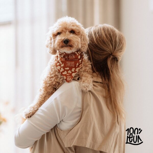 Bandana hond sfeer 2