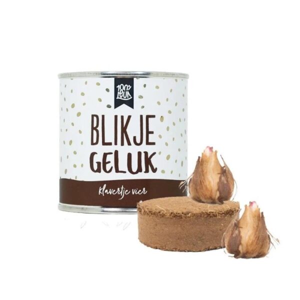 Blikje geluk klavartje vier