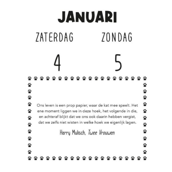 Kalender Katten